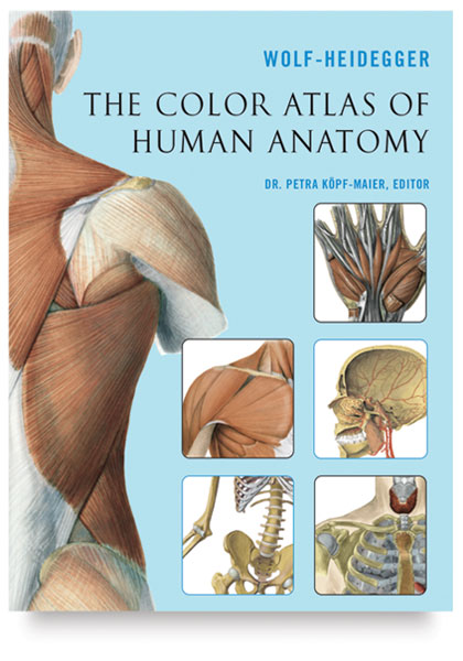 Wolf-Heidegger: The color atlas of human anatomy
