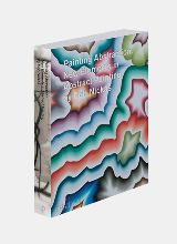 Bob Nickas: Painting abstraction : new elements in abstract painting